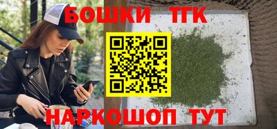 a pvp Камышлов