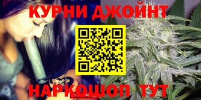 a pvp Камышлов
