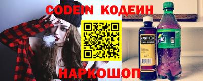 a pvp Камышлов