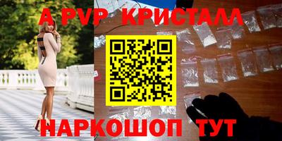 a pvp Камышлов