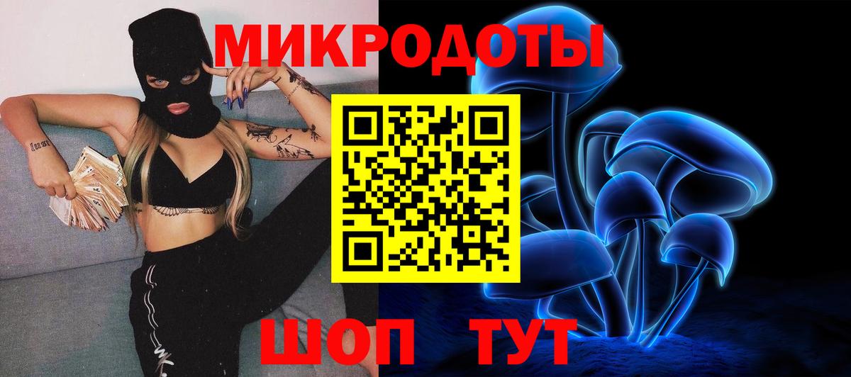 Псилоцибиновые грибы Psilocybe Краснодар