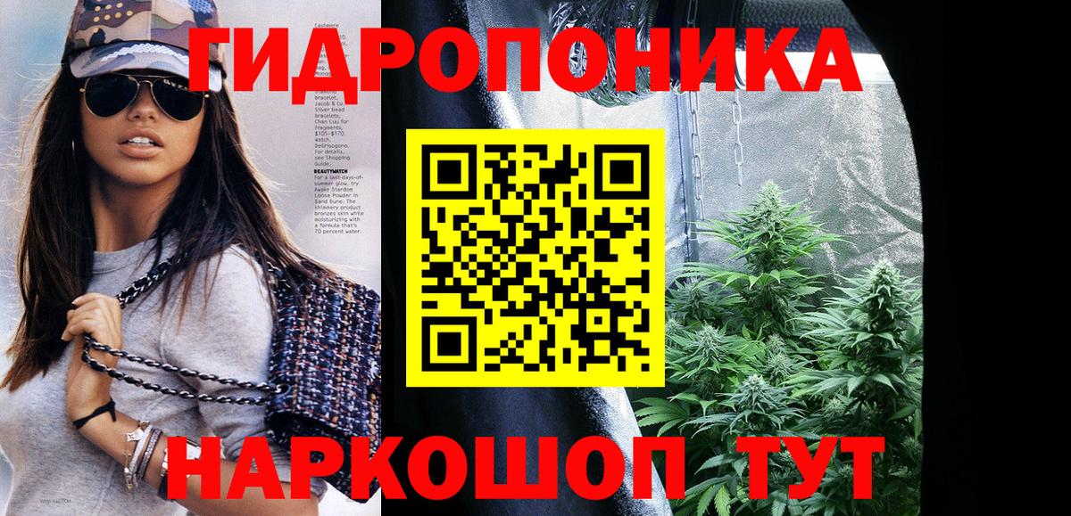 Бошки Шишки семена  Канабис сатива  Краснодар  Вход с VPN  Шишки марихуана планчик  Бошки марихуана план 